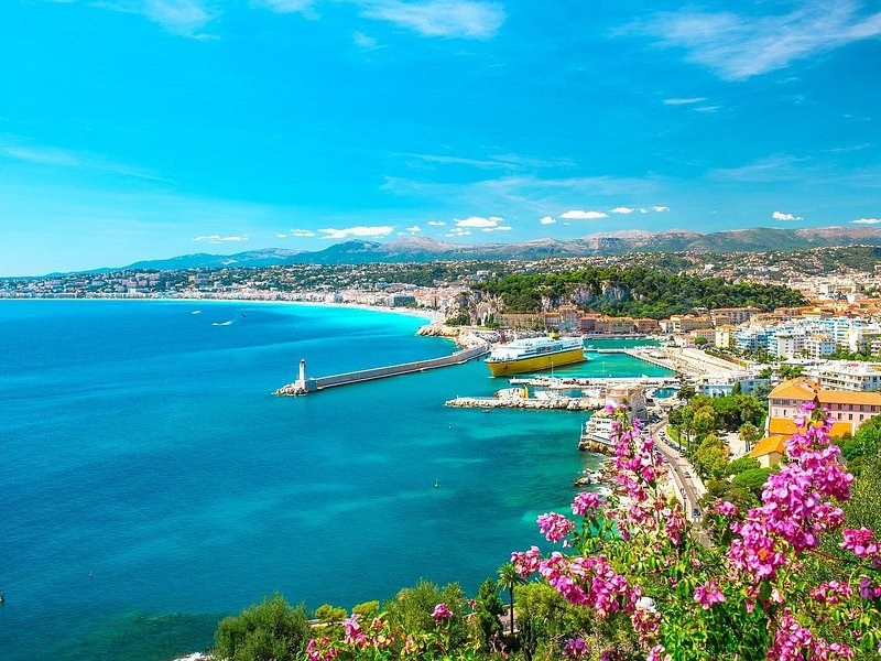 The curve of the bay at Nice and its harbour mouth, seen past pink flowers on the hillside