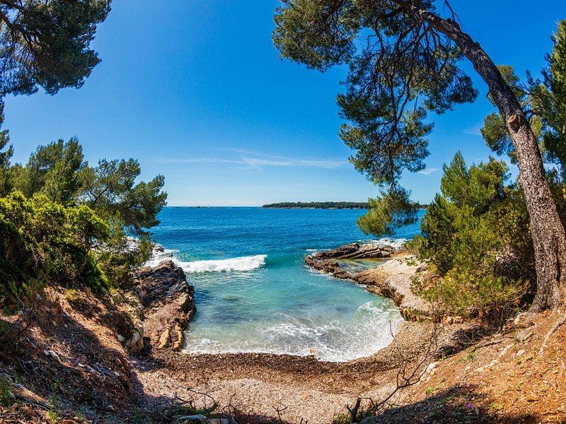 A small pebble cove framed by pines, the sea breaking on the rocks
